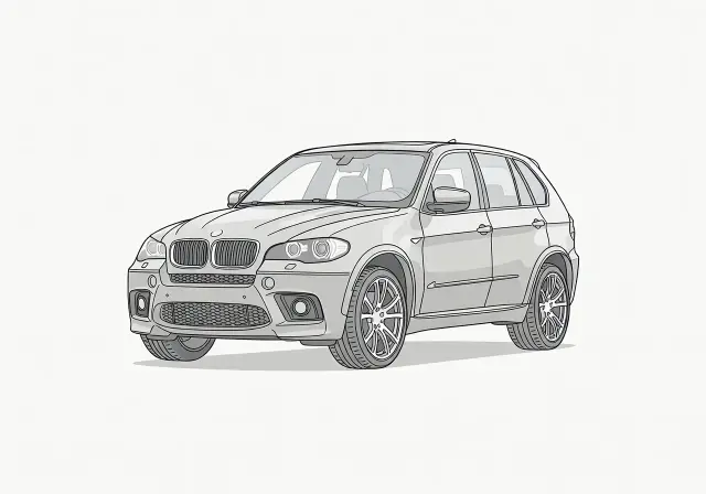 2010 BMW X5 M